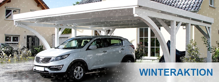 Carport Winteraktion