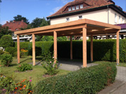 Carport 17: 410x600 cm · Lärche